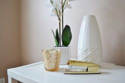 Le orchidee sui tavoli per computer liberano dallo xilene