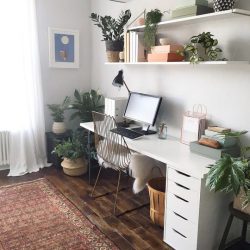 Arredare studio in casa - piante e cactus per rallegrare l'ambiente