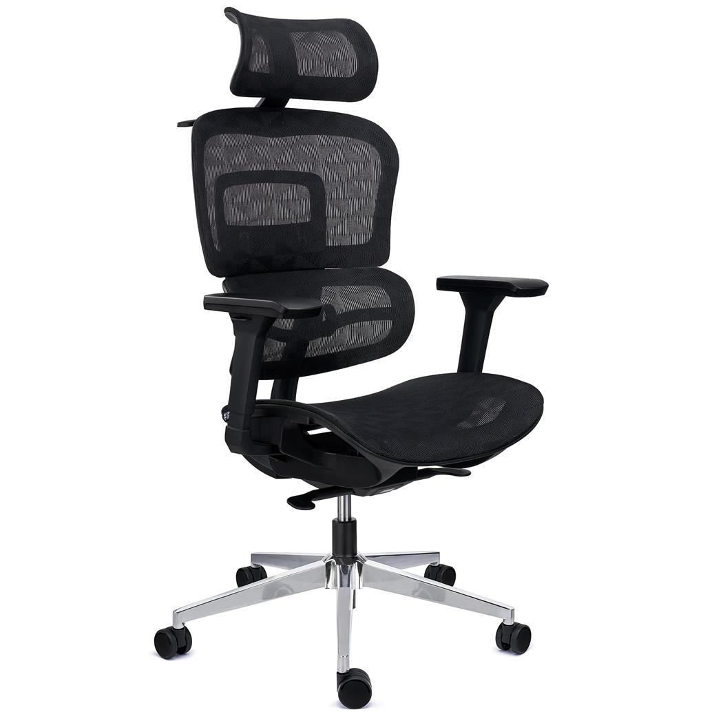 Sedia Ergonomica ERGOMAX, Schienale Regolabile in Altezza, Confortevole e Versatile, Rete Nera