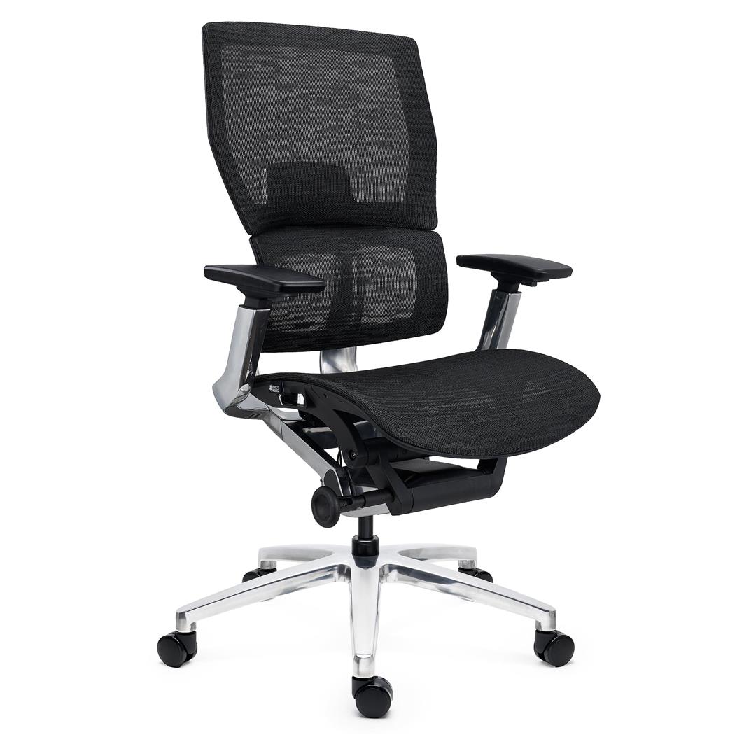 Sedia Ergonomica ERGOPLUS, Struttura in Metallo, Confortevole e Regolabile, Alta Gamma, Rete, Nero