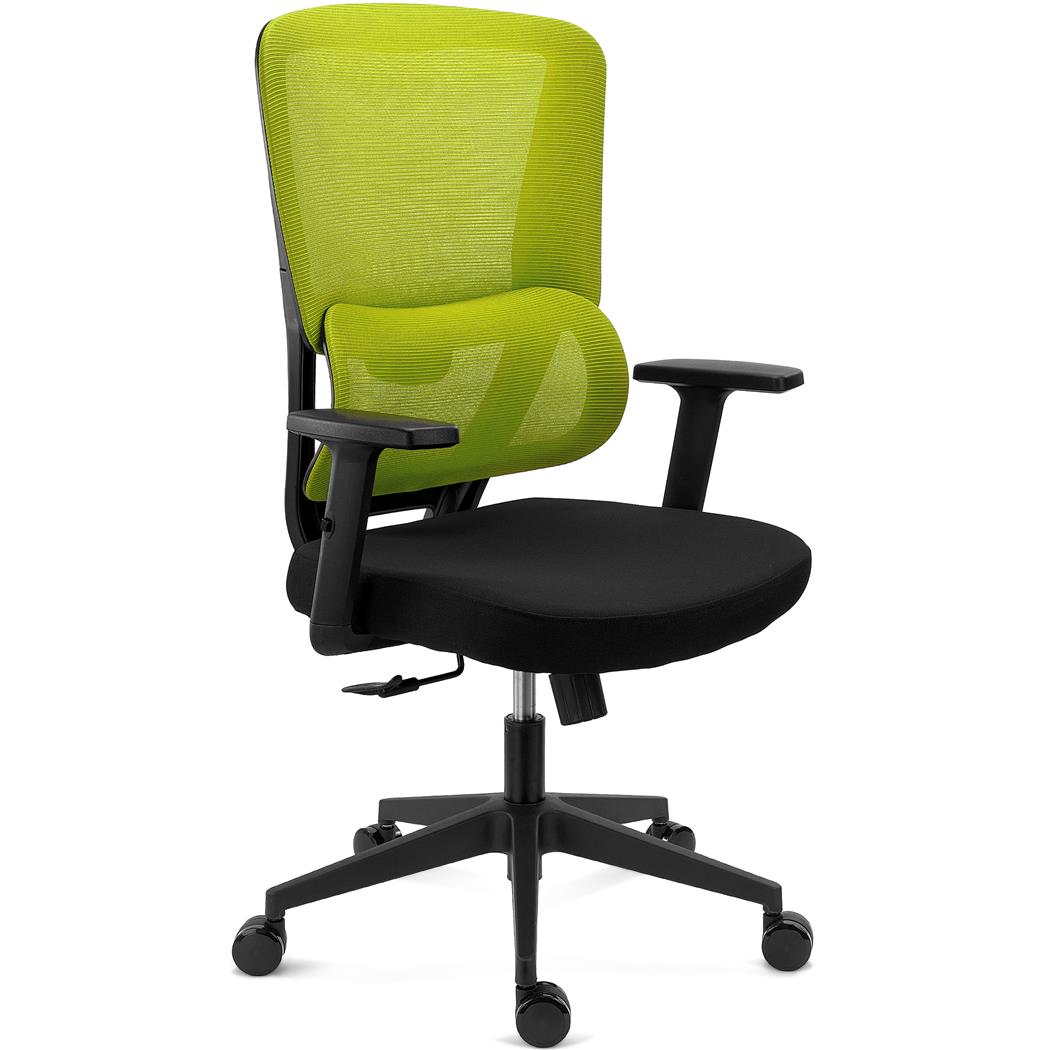 Sedia Ergonomica SUPRA, Confortevole, Supporto Lombare, Rete Traspirante e Tessuto, Verde
