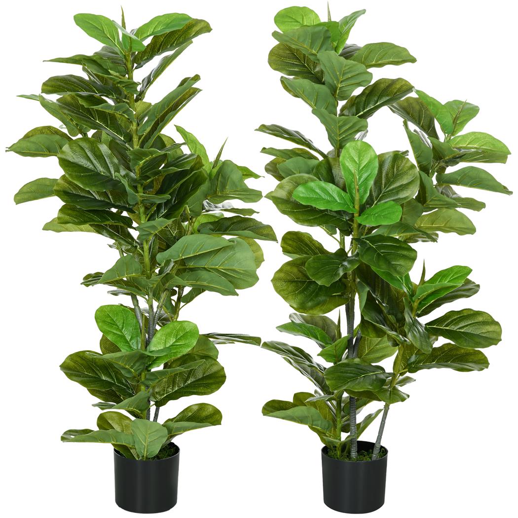 Lotto di 2 Piante per Ufficio LUSH, Piante di Fico alte 110cm, Verde