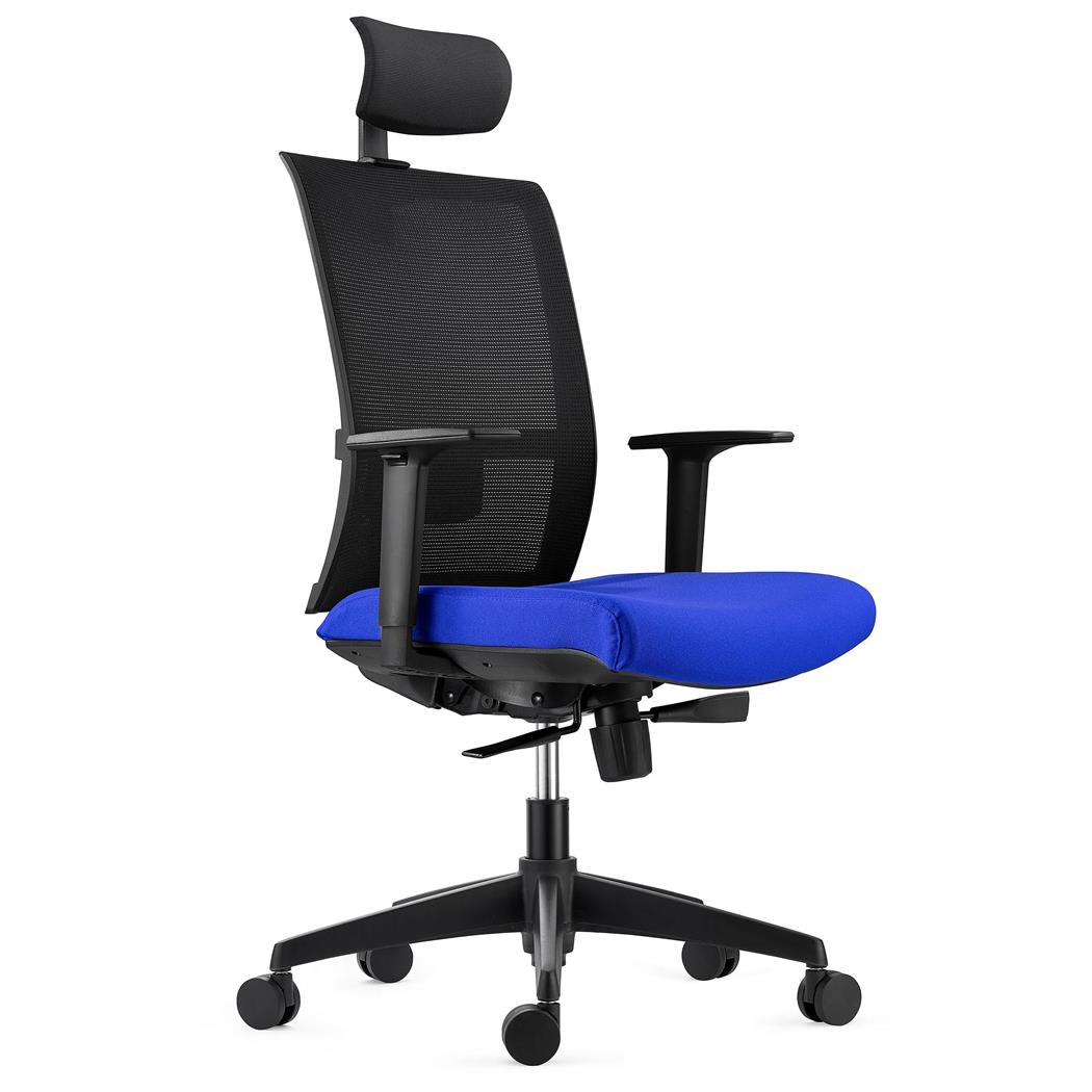 Sedia Ergonomica AXEL, Poggiatesta, Supporto Lombare, Tessuto e Rete, Blu