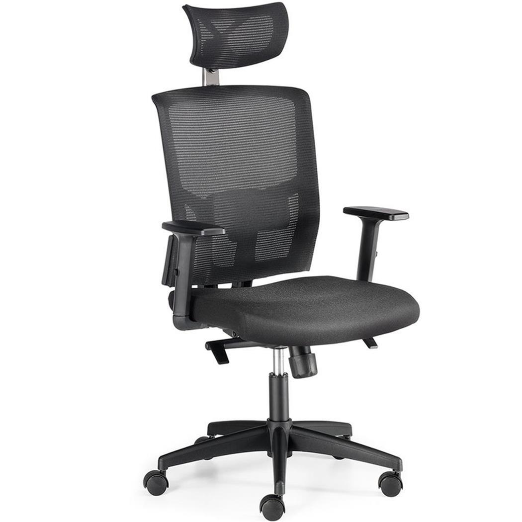 Sedia Ergonomica EYDA, Sostegno Lombare, Braccioli Regolabili, In Rete Traspirante, Nero