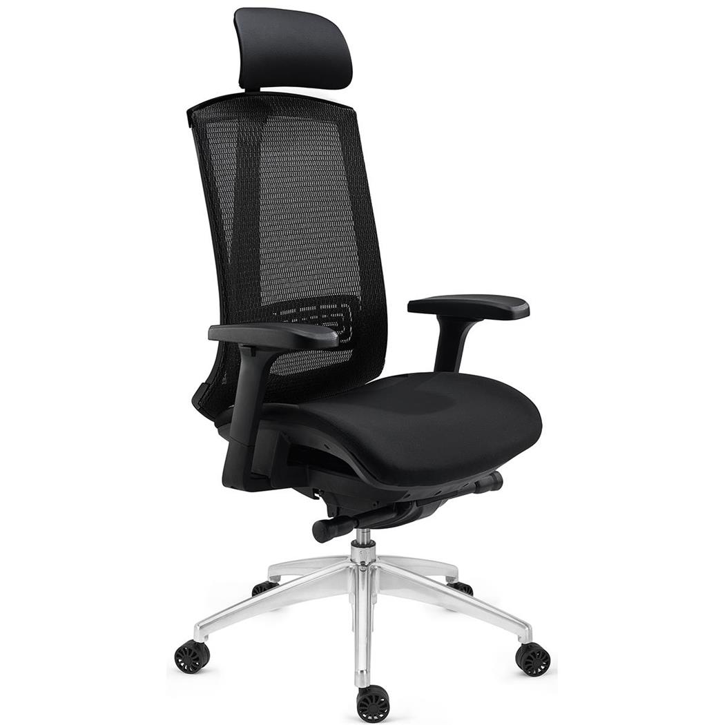 Sedia Ergonomica RAPTOR, Uso Professionale, Completamente Regolabile, in Rete, Nero