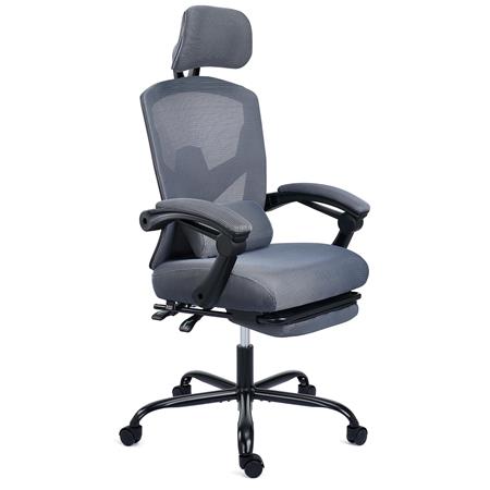 Sedia Ergonomica DELTA, Confortevole, Poggiapiedi Estensibile, Cuscino Lombare, Grigio