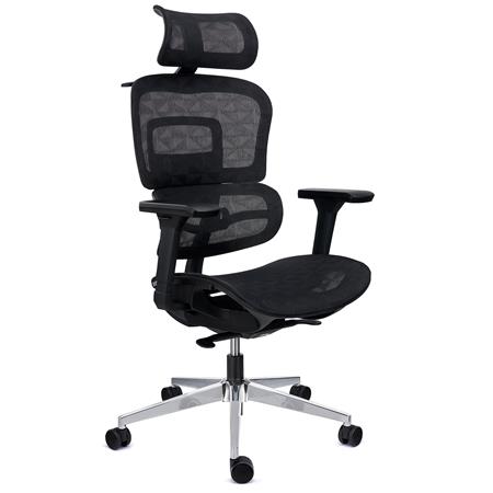 Sedia Ergonomica ERGOMAX, Schienale Regolabile in Altezza, Confortevole e Versatile, Rete Nera