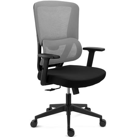 Sedia Ergonomica SUPRA, Confortevole, Supporto Lombare, Rete Traspirante e Tessuto, Grigio