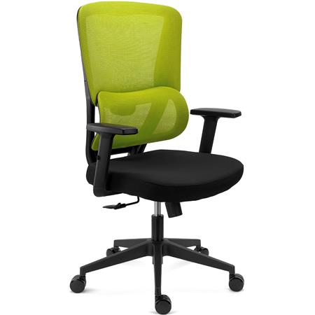 Sedia Ergonomica SUPRA, Confortevole, Supporto Lombare, Rete Traspirante e Tessuto, Verde