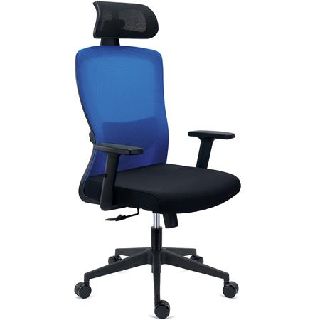 Sedia Operativa NOTE PRO, Ergonomica, Poggiatesta, Supporto Lombare Regolabile, Rete e Tessuto, Blu