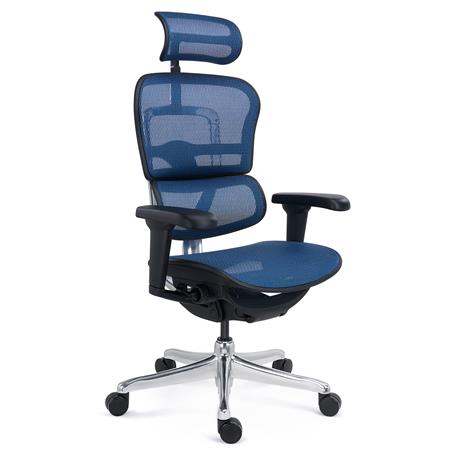 Sedia Ergonomica ERGOULTRA, Completamente Regolabile, Ottima Qualità, in Rete Blu