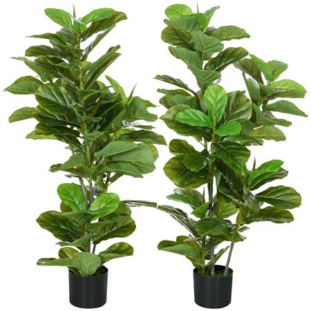 Lotto di 2 Piante per Ufficio LUSH, Piante di Fico alte 110cm, Verde