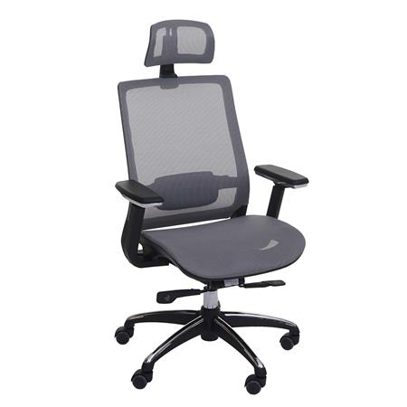 Sedia Ufficio Ergonomica NUTAL, Completamente Regolabile, Sostegno Lombare, colore Grigio
