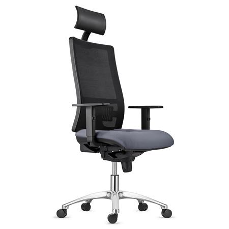 Sedia Ergonomica MARSA, Base in Metallo, Poggiatesta, Braccioli Regolabili, Supporto Lombare, in Grigio
