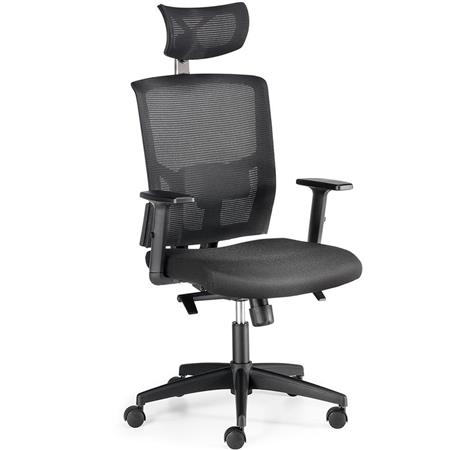 Sedia Ergonomica EYDA, Sostegno Lombare, Braccioli Regolabili, In Rete Traspirante, Nero