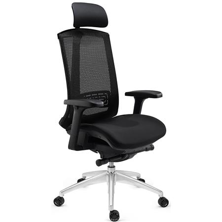 Sedia Ergonomica RAPTOR, Uso Professionale, Completamente Regolabile, in Rete, Nero