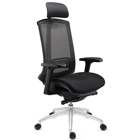 Sedia da Ufficio RAPTOR, Supporto Lombare e Braccioli Regolabili, Rete e Tessuto Grigio